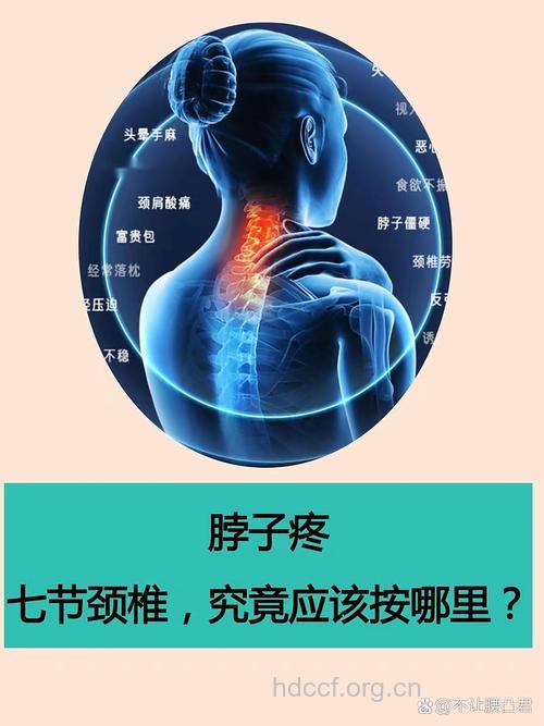 颈椎病的症状主要在什么部位