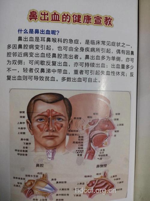 中医辩证论证治疗鼻出血