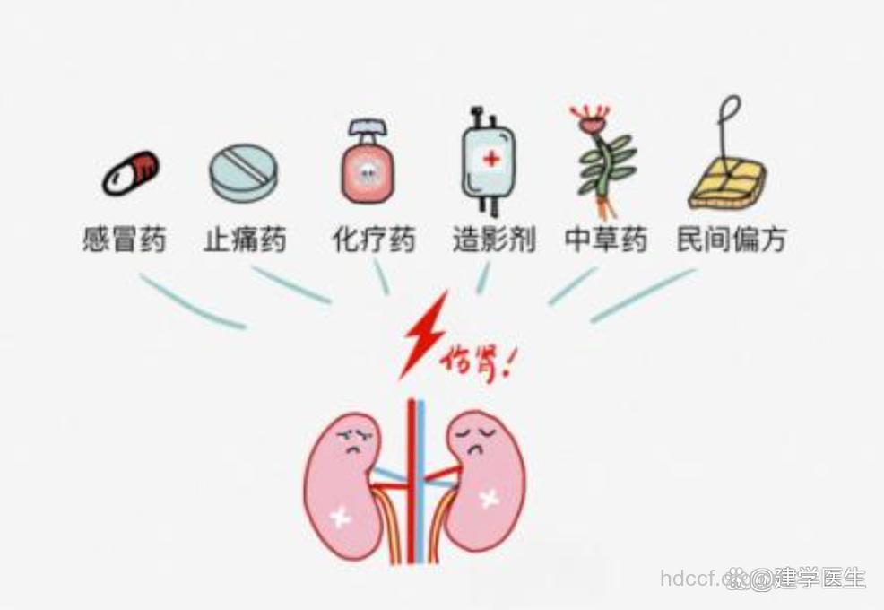 乱吃感冒药会导致肾衰竭