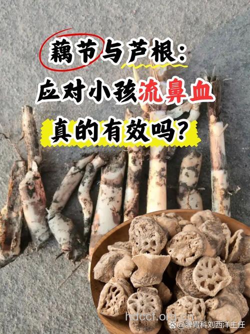 常吃莲藕可预防鼻出血