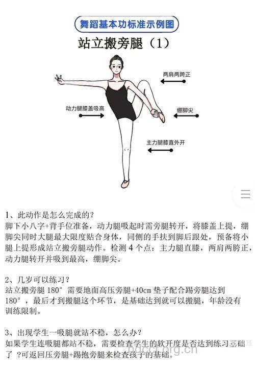 学习有氧拉丁的四项基本动作