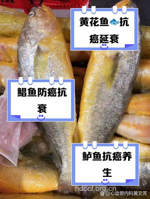 水产品中有哪些抗癌能手呢