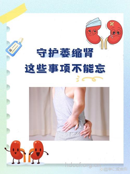 如何预防肾萎缩呢