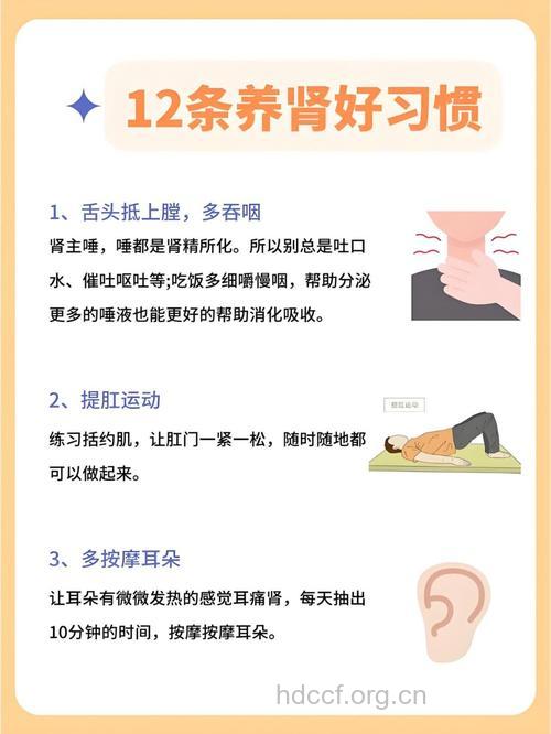 伤肾4大习惯 男人补肾8步走