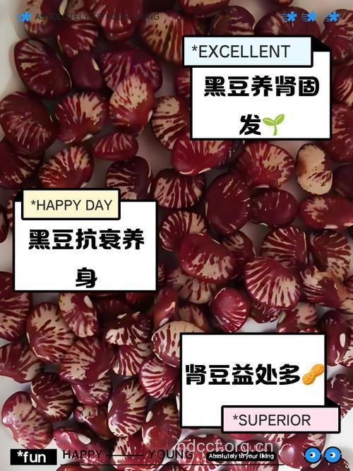 增加肾脏负担 男人吃豆制品需适量