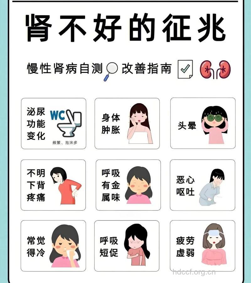 肾不好有10个怪症状