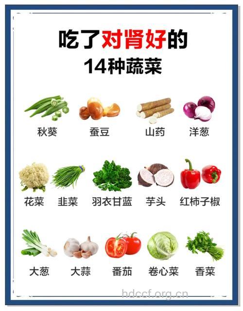 六种能能够呵护肾脏的蔬菜
