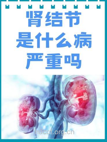 肾结核是如何发生的