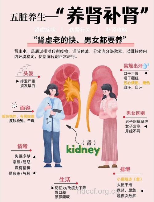肾病治疗的三要素