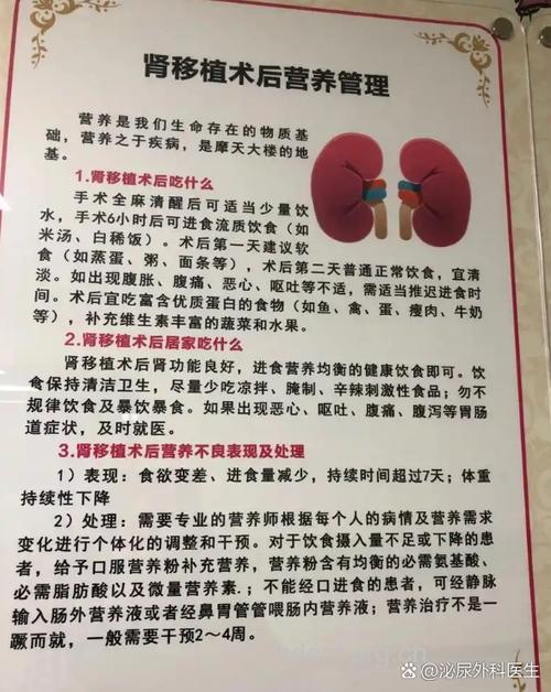 肾移植前要注意哪些？