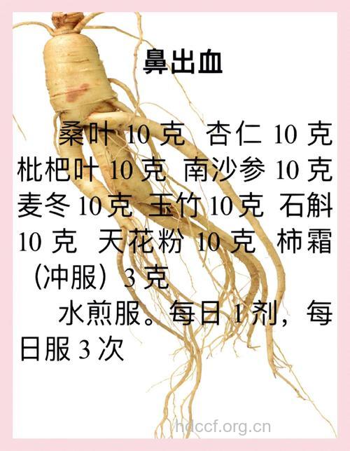 治疗鼻出血的中药食疗方