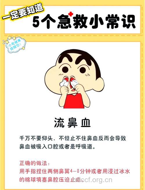 儿童要多吃青菜预防鼻出血