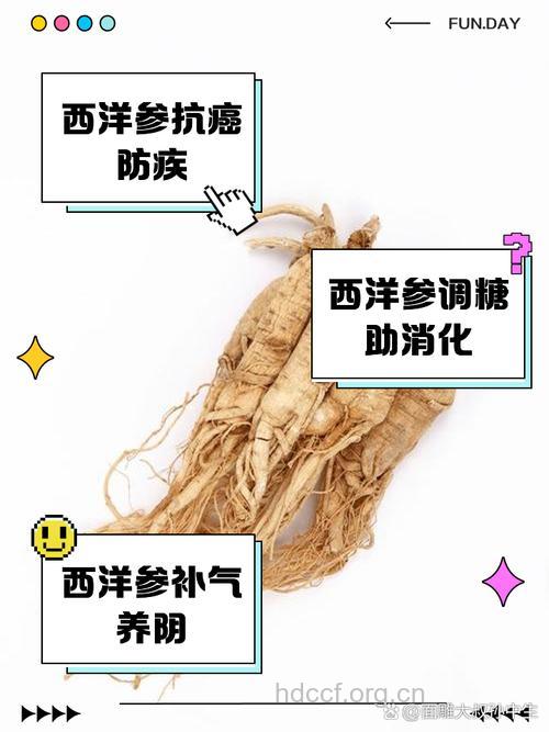 肾病患者可以吃西洋参吗?