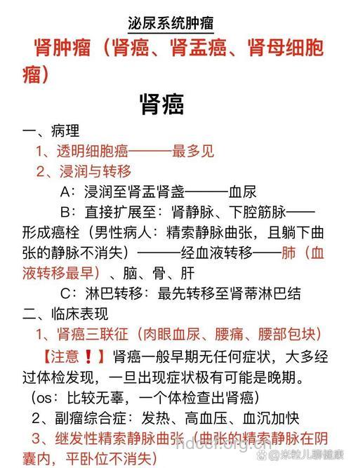 解读关于肾癌的8个知识