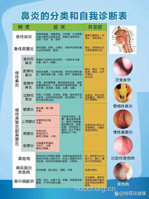 鼻炎的常见病理特征是什么