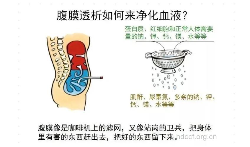 腹膜透析控制水盐勿忘钾