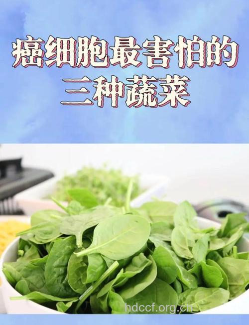 抗癌蔬菜哪种好