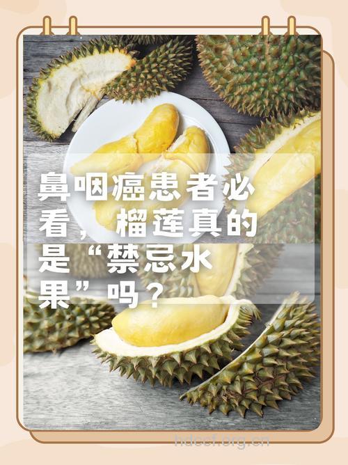 患鼻咽癌的人吃什么水果好