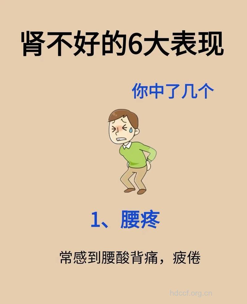 肾不好有什么症状