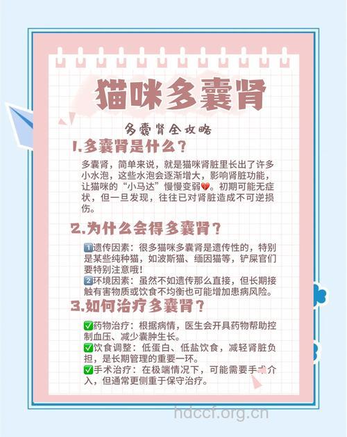 多囊肾怎么做好预防工作呢