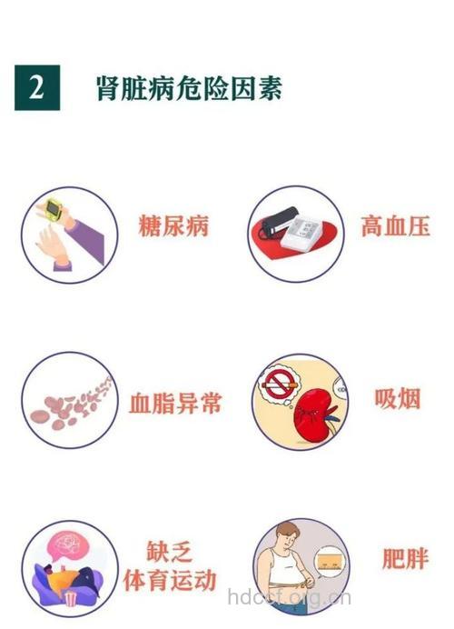 患肾病与什么因素有关