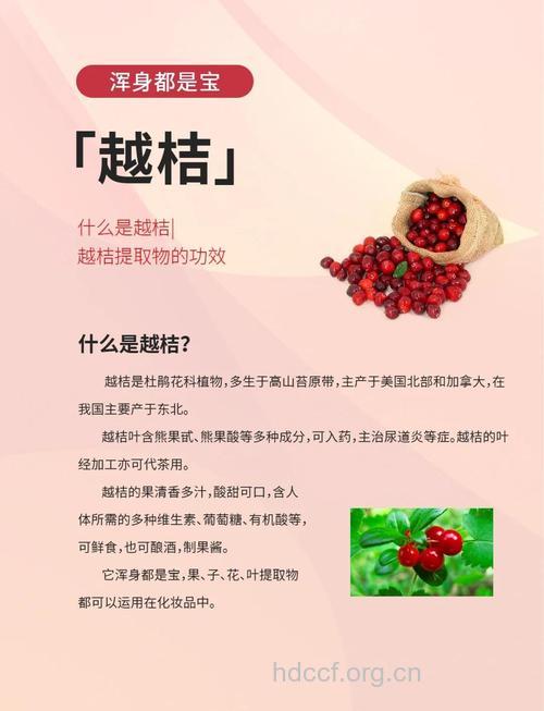 哪些水果提取物可对抗癌症呢