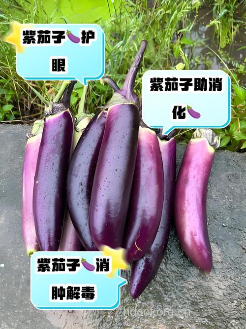 茄子抗癌效果怎么样呢