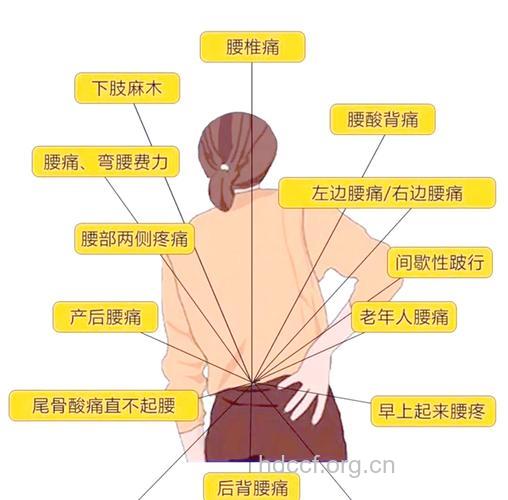 腰椎疼痛的几种典型症状