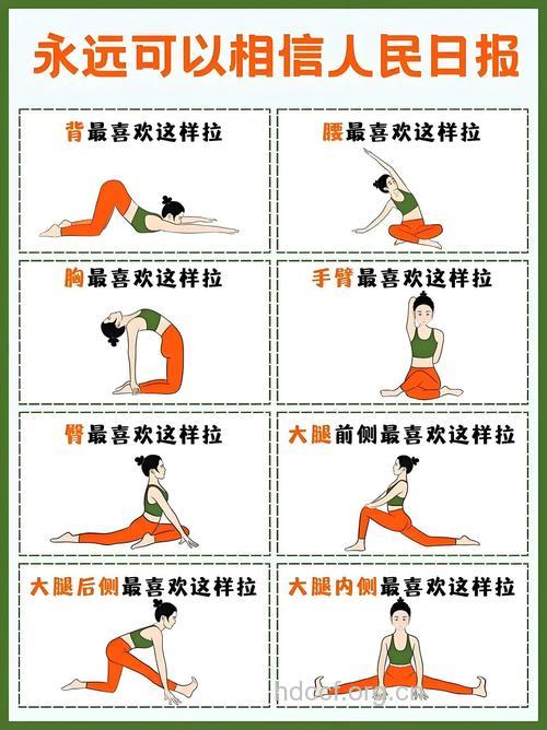 5式瑜伽教学 让你轻松拥有完美身材