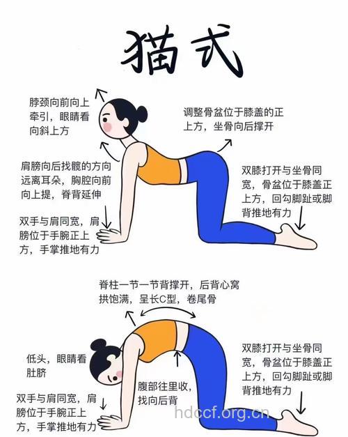 经期瑜珈猫式延展 缓解痛经及消肿