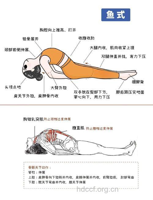 鱼式瑜珈减掉背部赘肉