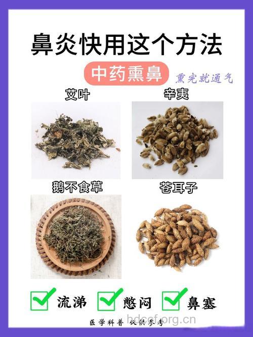 慢性鼻炎的中药治疗方法