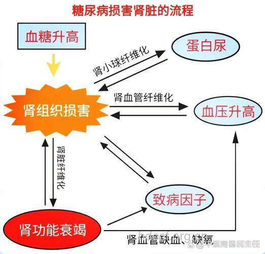 糖尿病肾病产生的原因是什么呢