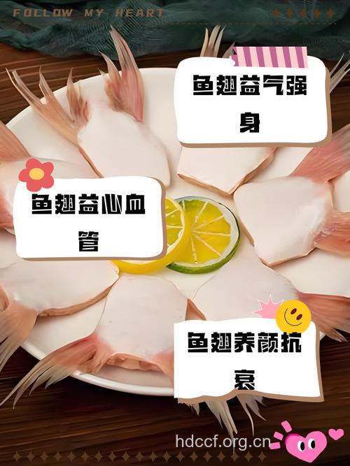 吃鱼翅抗癌行不行呢
