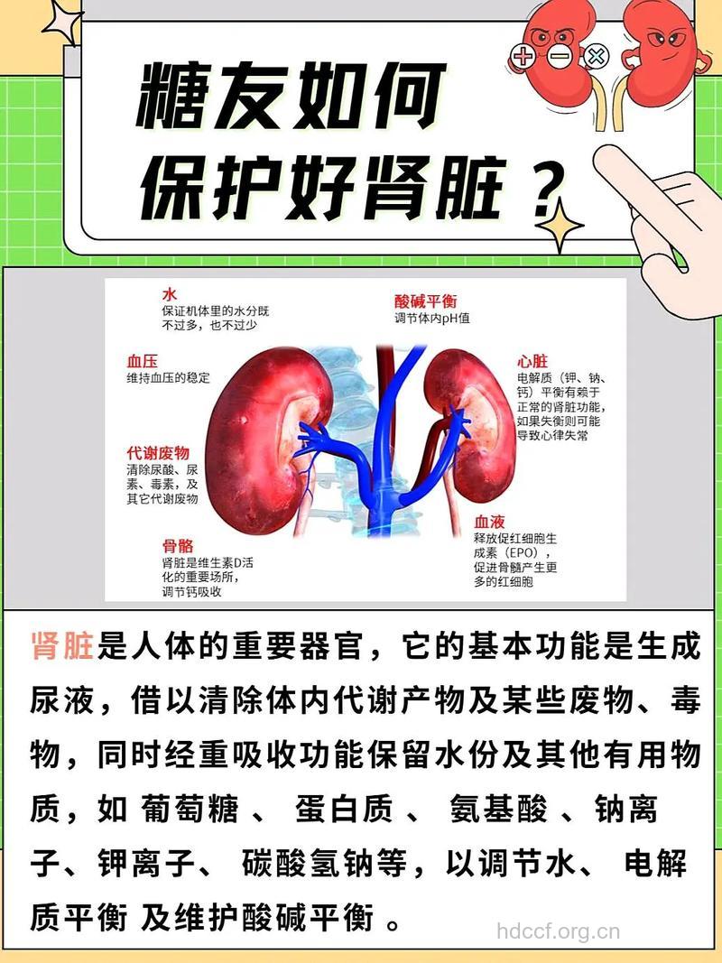 治糖尿病肾病需防什么