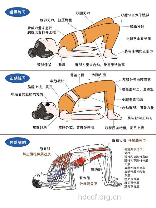 桥式变化式瑜伽不错的瘦腿运动