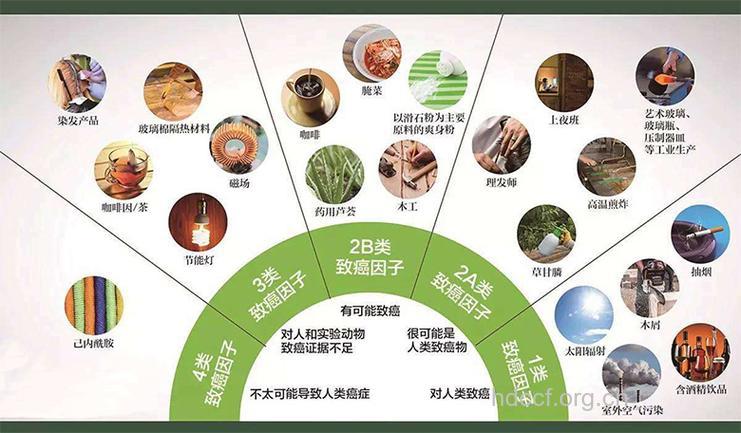 如何排出致癌物呢