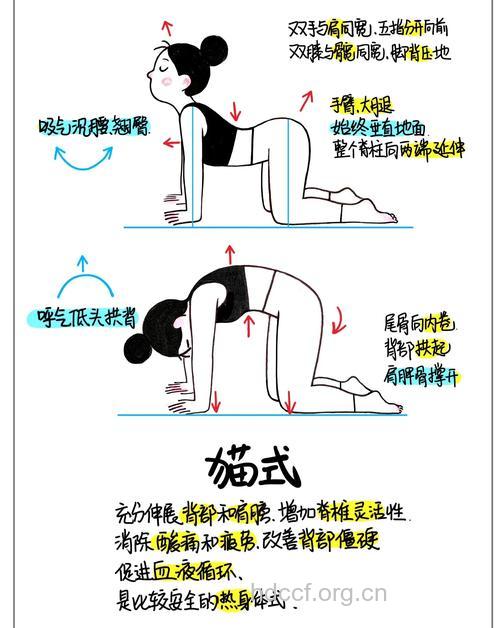 猫式瑜伽消除背部疲劳