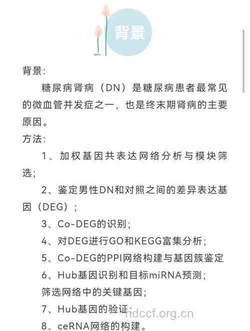糖尿病肾病如何诊断
