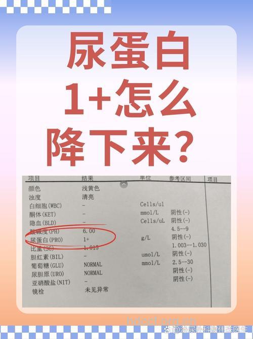 糖尿病肾病尿里有蛋白怎么办