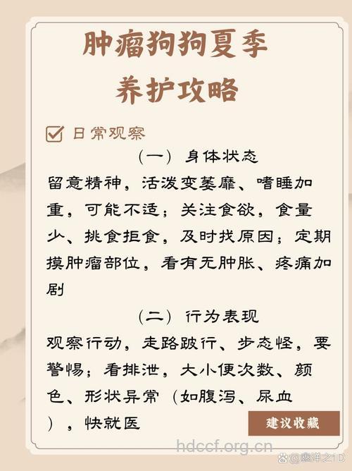 夏季肿瘤有哪些护理方法