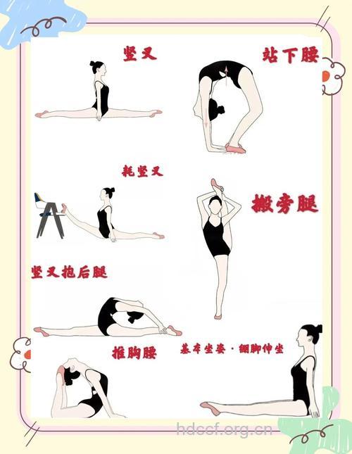 民族舞能自学的基本功有哪些