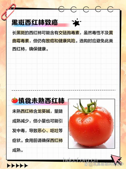 西红柿怎么吃防癌效果好