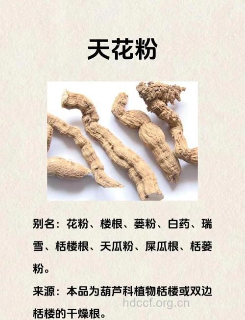 中药治疗花粉症临床效果好