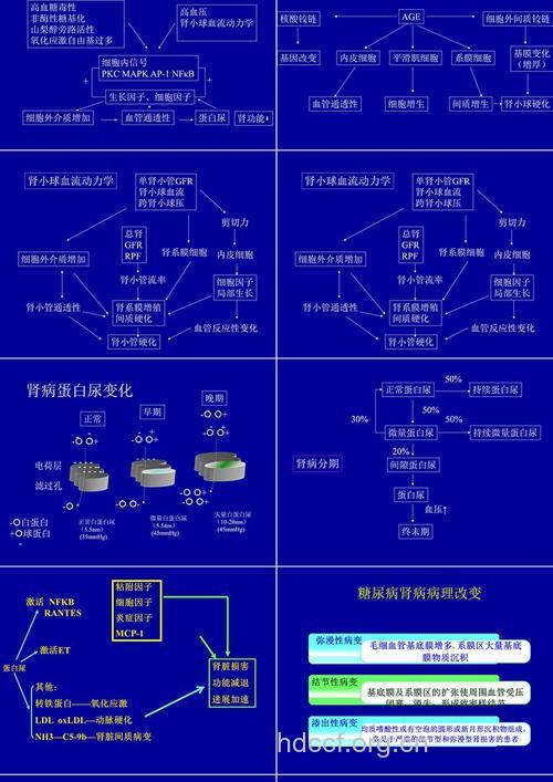 糖尿病肾病的三大发病机理