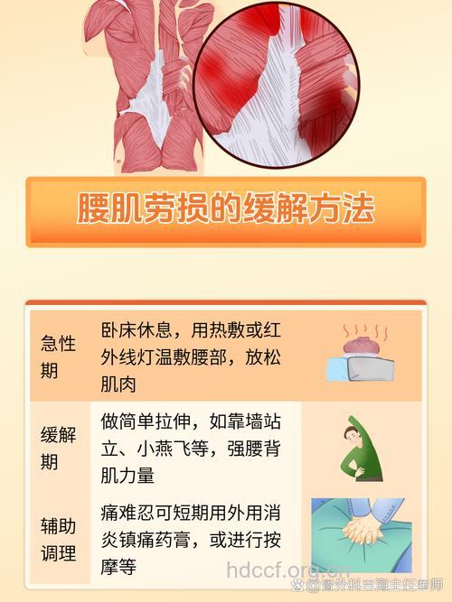 腰肌劳损6大恢复信号