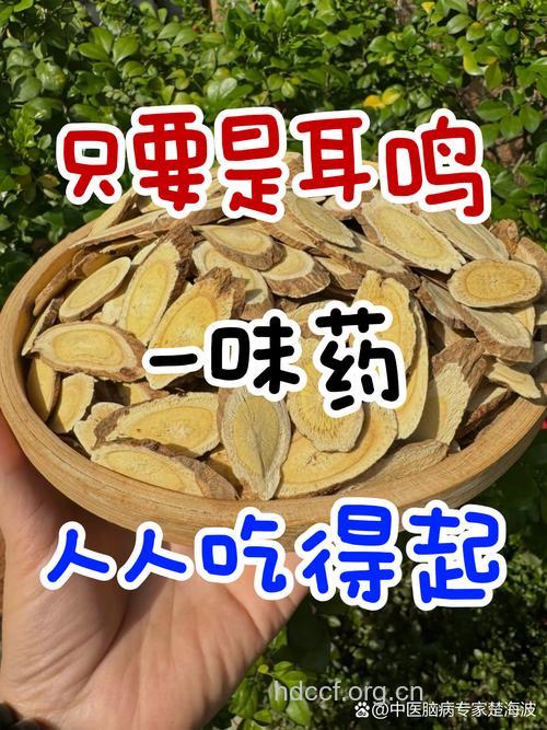 为什么会产生神经性耳鸣 吃什么中药治疗