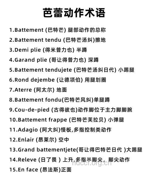 芭蕾有哪些常用的基本术语