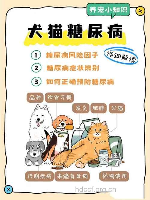 动物蛋白防糖尿病肾病