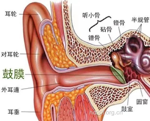 盘点鼓膜穿孔的两大主因
